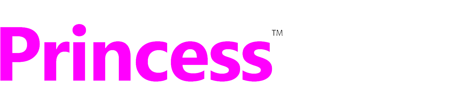 PRINCESS SEXY SHOP